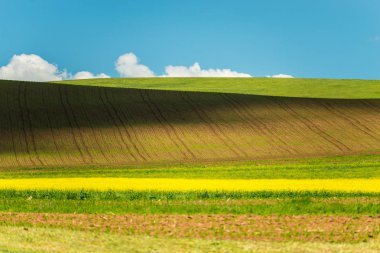 güneşli bir gün bahar peyzaj
