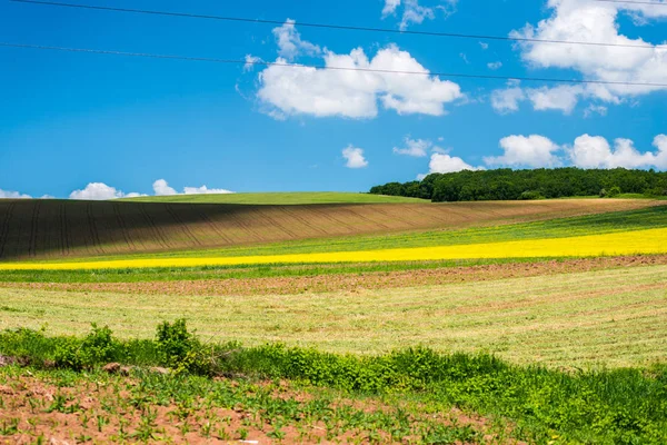 Paisagem Primavera Dia Ensolarado — Fotografia de Stock