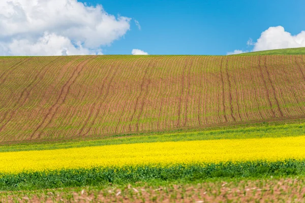 Paisagem Primavera Dia Ensolarado — Fotografia de Stock