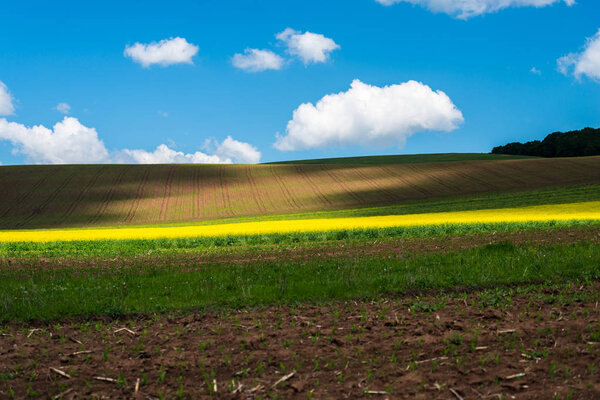 Spring landscape in sunny day