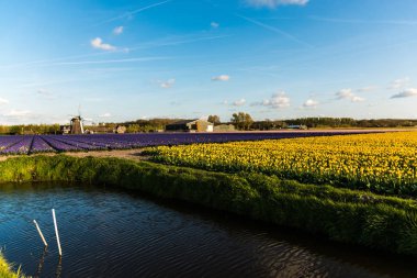 Akşam muhteşem günbatımı