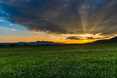 günbatımı gökyüzü ve yeşil çayır çimen 