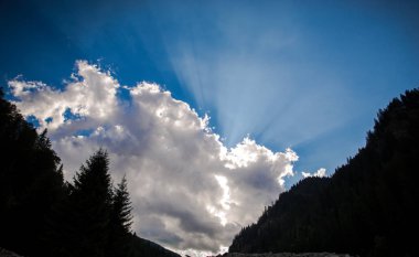 Landscape with forest at sunset