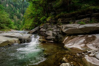 Soğuk Dağ nehir. Taşlarla desteklemek ve berrak su.