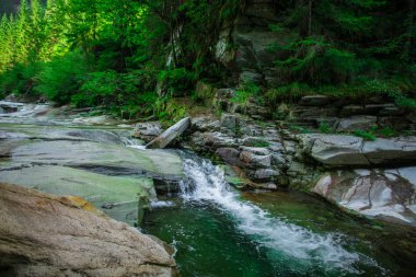 Soğuk Dağ nehir. Taşlarla desteklemek ve berrak su.