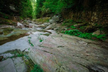 Soğuk Dağ nehir. Taşlarla desteklemek ve berrak su.