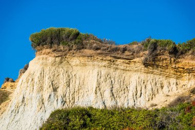 Bitkiler ve ağaçlar mavi gökyüzü arka plan üzerinde büyük kaya