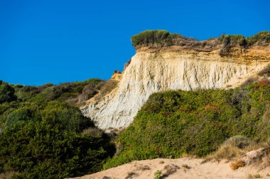 Bitkiler ve ağaçlar mavi gökyüzü arka plan üzerinde büyük kaya
