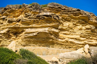 Bitkiler ve ağaçlar mavi gökyüzü arka plan üzerinde büyük kaya