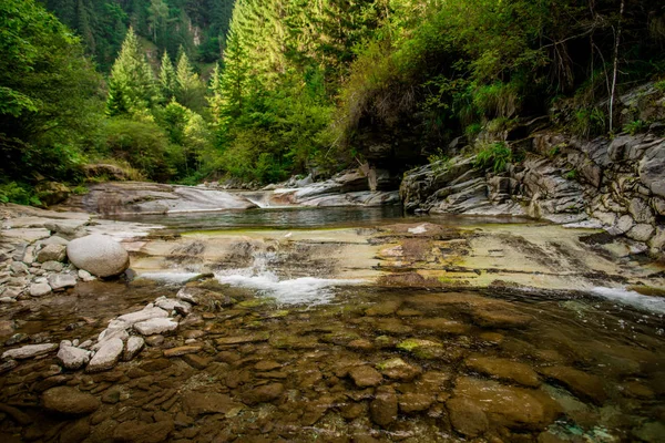 Cold Mountain River Stötta Med Stenar Och Klart Vatten — Stockfoto