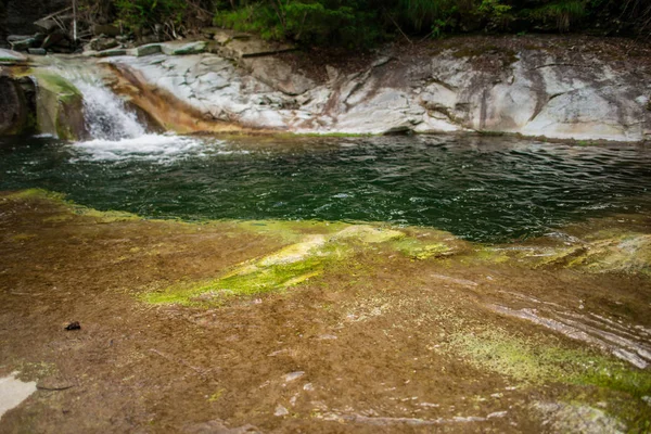 Río Frío Montaña Orilla Con Piedras Agua Clara — Foto de Stock