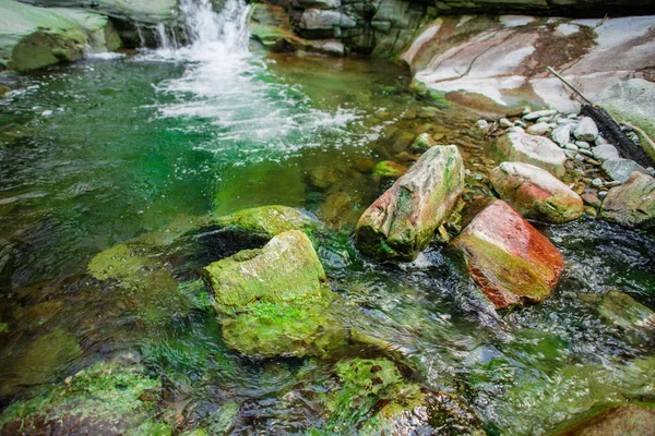 Río Frío Montaña Orilla Con Piedras Agua Clara — Foto de Stock