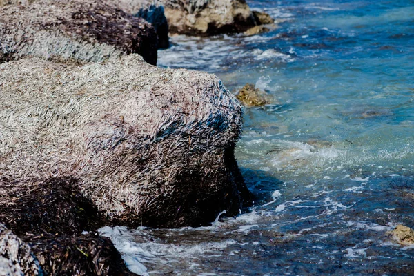 清澈的海滨与岩石 — 图库照片