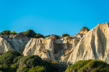Bitkiler ve ağaçlar açık mavi gökyüzü arka plan üzerinde büyük kaya