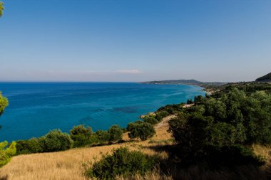Deniz mavi gökyüzü, yeşil ağaçlar ve bitkiler. Doğal arka plan.