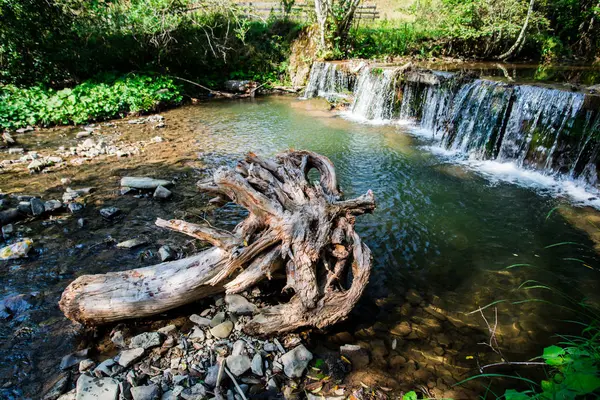 Водоспад Барвистому Весняному Лісі — стокове фото