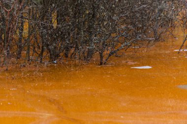 Jeotermal active Bölge Parkı