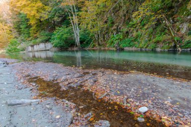 Sonbahar dağlarda vahşi nehir