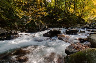Sonbahar dağlarda vahşi nehir