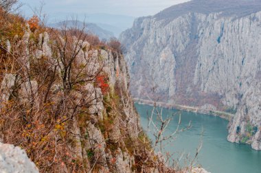 Sonbaharın güzel tuna gorge