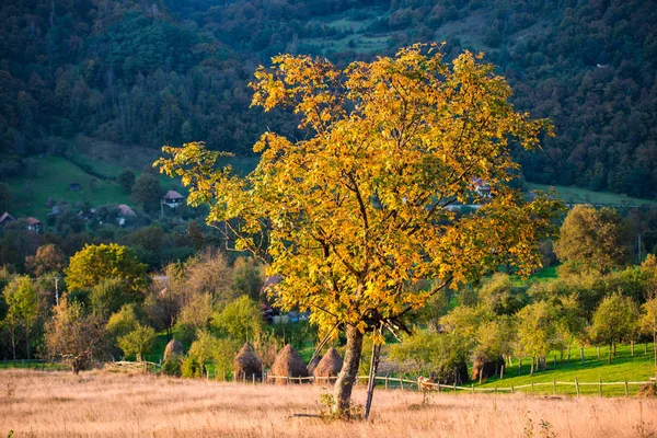 Vacker Höst Landskap Utsikt — Stockfoto