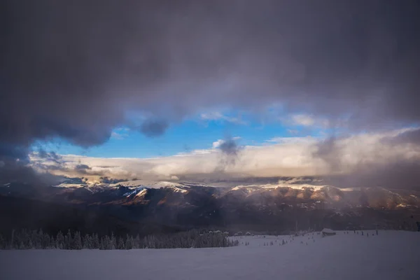 Winter Bergen Bos Met Sneeuw Bedekt Bomen Landschap — Stockfoto