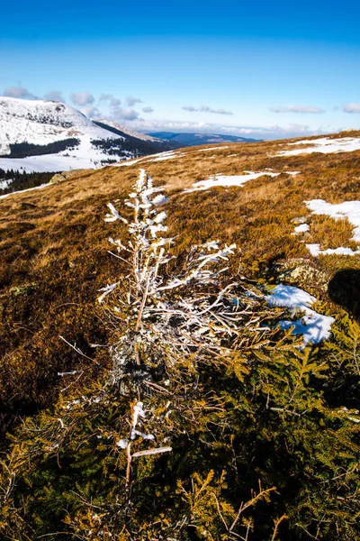 Niesamowity Widok Krajobraz Zima — Zdjęcie stockowe