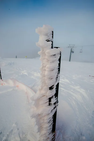 Ceppi Ricoperti Gelo Montagne Innevate — Foto Stock