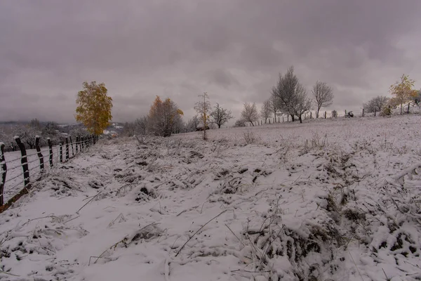 Vue Imprenable Sur Paysage Hivernal — Photo