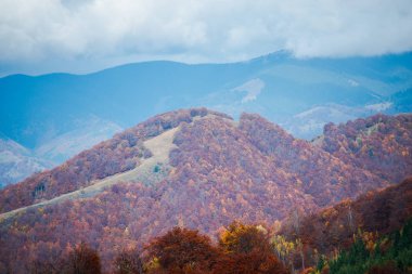 Sonbahar yatay, renkli ağaçlar, sonbahar sezon 