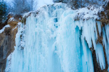 Karpat Dağları'nda kış