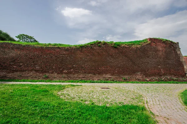 Czerwona Ceglana Ściana Zieloną Trawą — Zdjęcie stockowe