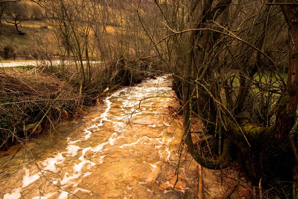 Detailaufnahme Des Hochwassers Den Bergen Zur Frühlingszeit — Stockfoto