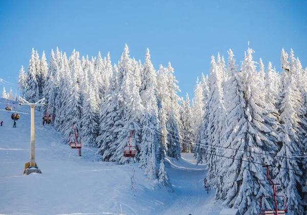 Vue Imprenable Sur Paysage Hivernal — Photo