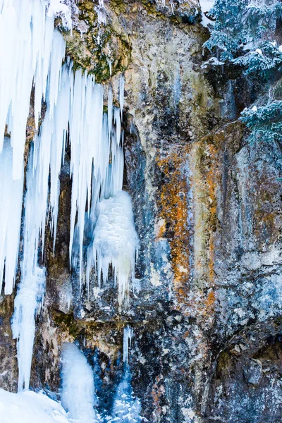 Gefrorener Wasserfall Den Karpaten — Stockfoto