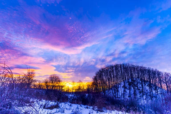Freddo Inverno Mattina Nella Foresta Luminoso Tramonto Colorato Nel Cielo — Foto Stock
