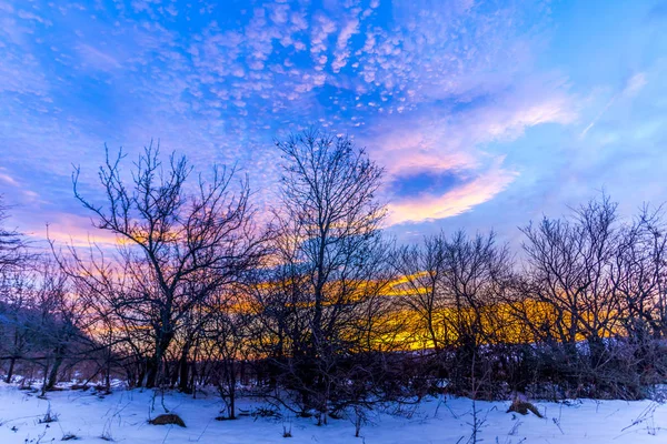Κρύο Πρωί Χειμώνα Στο Δάσος Και Λαμπρό Πολύχρωμο Ηλιοβασίλεμα Στον — Φωτογραφία Αρχείου
