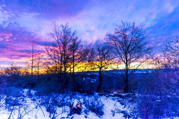 Inverno Frio Manhã Floresta Pôr Sol Colorido Brilhante Céu — Fotografia de Stock