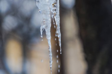 buz sarkıtları kış sezonunda erime 