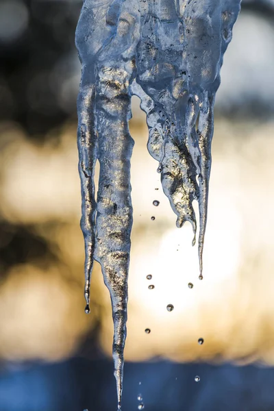 Helados Fusión Temporada Invierno Contra Fondo Del Atardecer — Foto de Stock