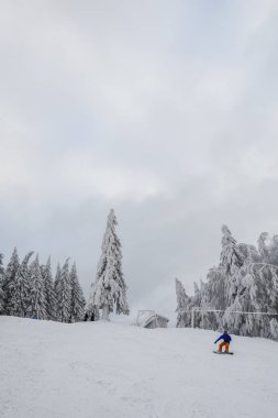 kar kaplı ağaçlar ve peyzaj, tepeden Kayak kişi 