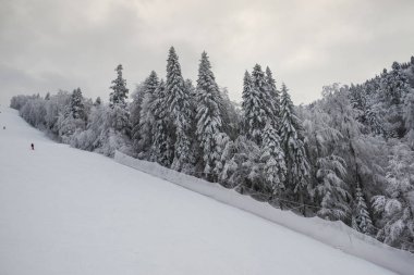 Dağlar, karla kaplı ağaçlar ve peyzaj, Kayak insanlar kışın  