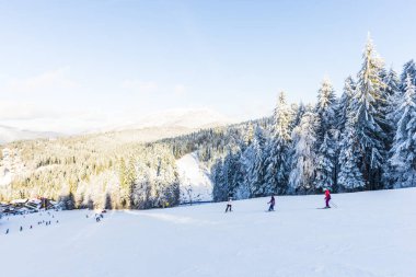 aktif insanlar kışın dağlarda kayak, kar kaplı ağaçlar ve peyzaj, resort 