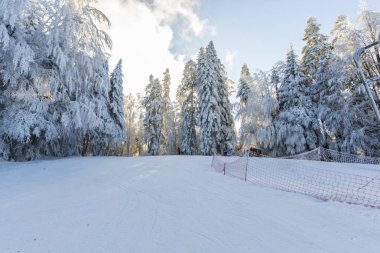 Kış dağ köknar ağaçları ile 