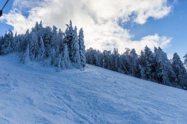 Kış dağ köknar ağaçları ile 