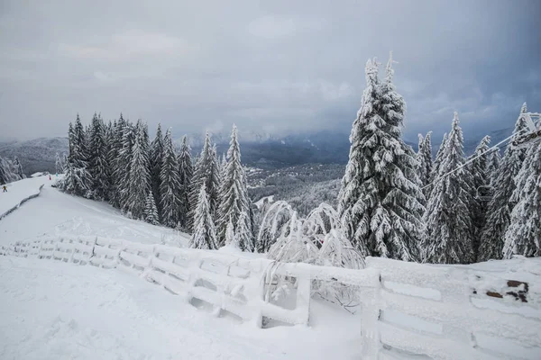 Winterberg Mit Schneebedeckten Bäumen Naturlandschaft Und Resort — Stockfoto