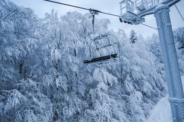 Sneeuw Overdekte Bomen Winterseizoen Ski Resort Winter Bergen Skilift — Stockfoto