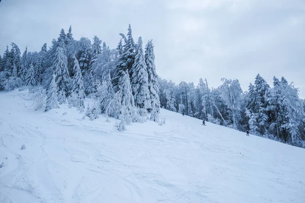 Árvores Cobertas Neve Paisagem Pessoas Esquiando Colina — Fotografia de Stock