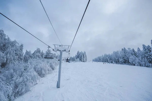 Schneebedeckte Bäume Winter Skigebiet Winter Berge Und Skilift — Stockfoto