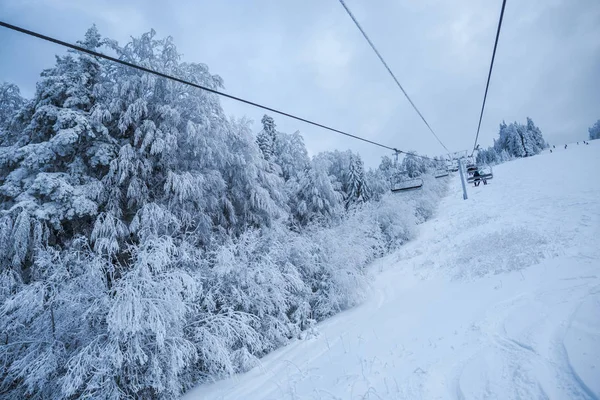 Schneebedeckte Bäume Winter Skigebiet Winter Berge Und Skilift — Stockfoto